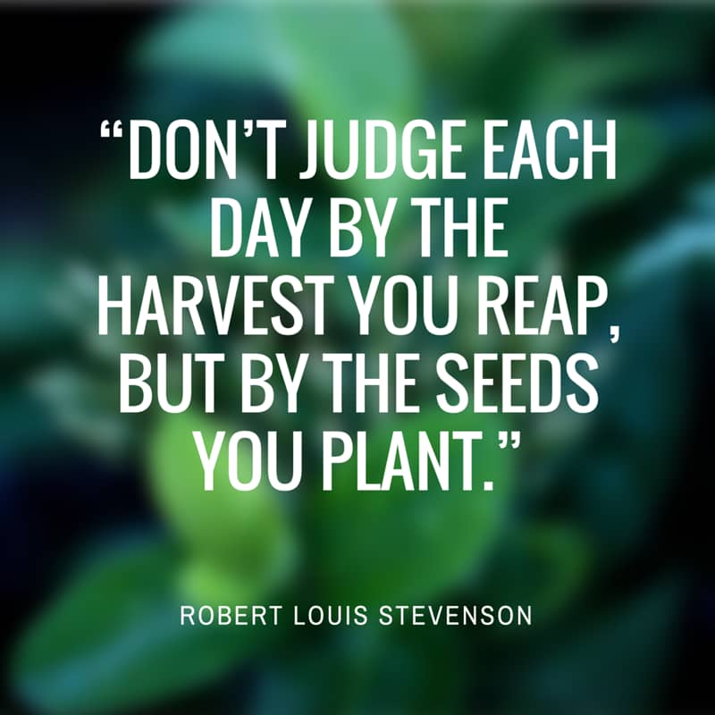 Don't judge each day by the harvest you reap but by the seeds you plant